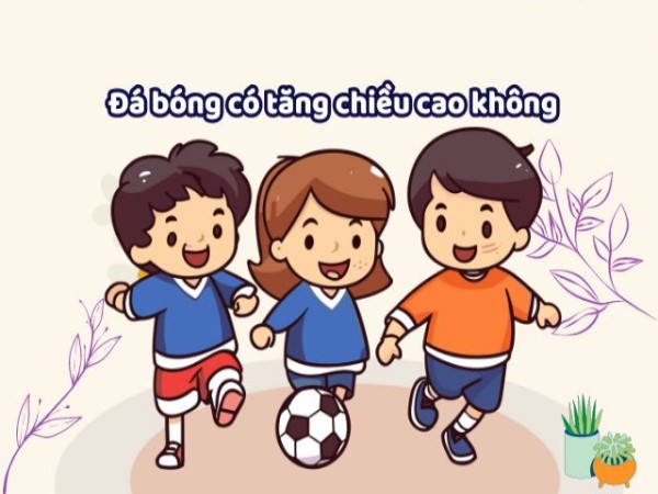 Cách chơi bóng đá giúp tăng chiều cao hiệu quả Cách chơi bóng đá giúp tăng chiều cao hiệu quả