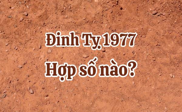 Tuổi Đinh Tỵ 1977 hợp với số nào để tài lộc thăng hoa?