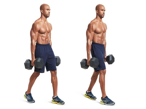 Lập lịch tập luyện và lưu ý quan trọng khi tập với tạ tay