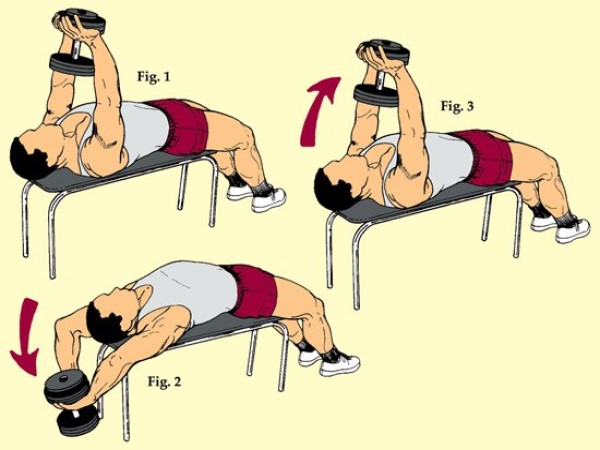 TOP bài tập ngực với tạ đơn giúp săn chắc cơ hiệu quả