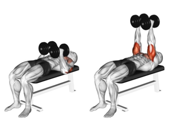 Các bài tập với tạ tay tăng sức mạnh phần thân dưới