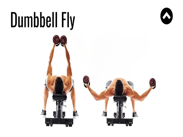 TOP bài tập ngực với tạ đơn: Bí quyết hình thể chuẩn