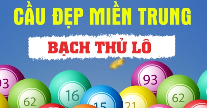 Cách bắt bạch thủ miền trung dễ thắng không thể bỏ qua