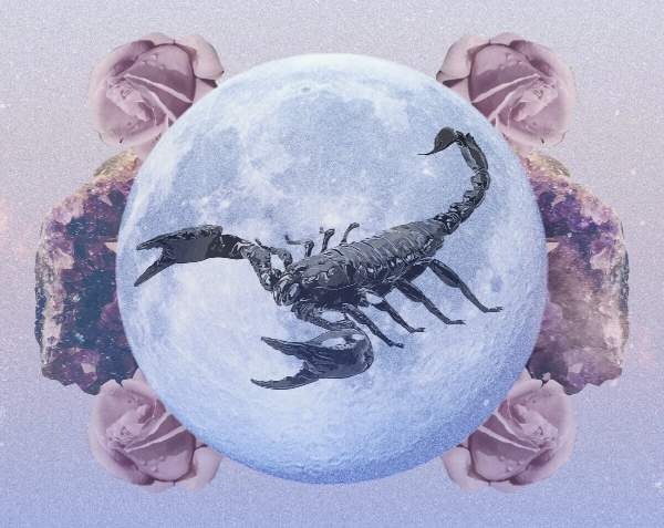 Bật mí số phát tài cung Bọ Cạp 21/12/2025 cực chuẩn